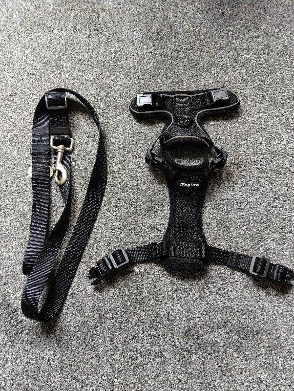 Eagloo XS Dog/Pet Harness and Lead Set, Black 