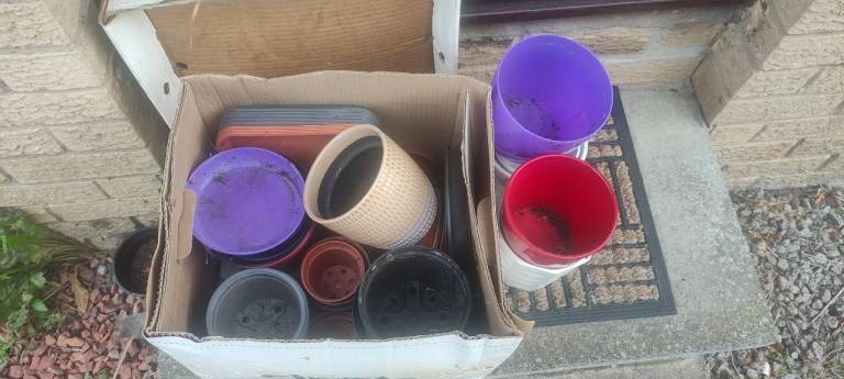 Free plant pots