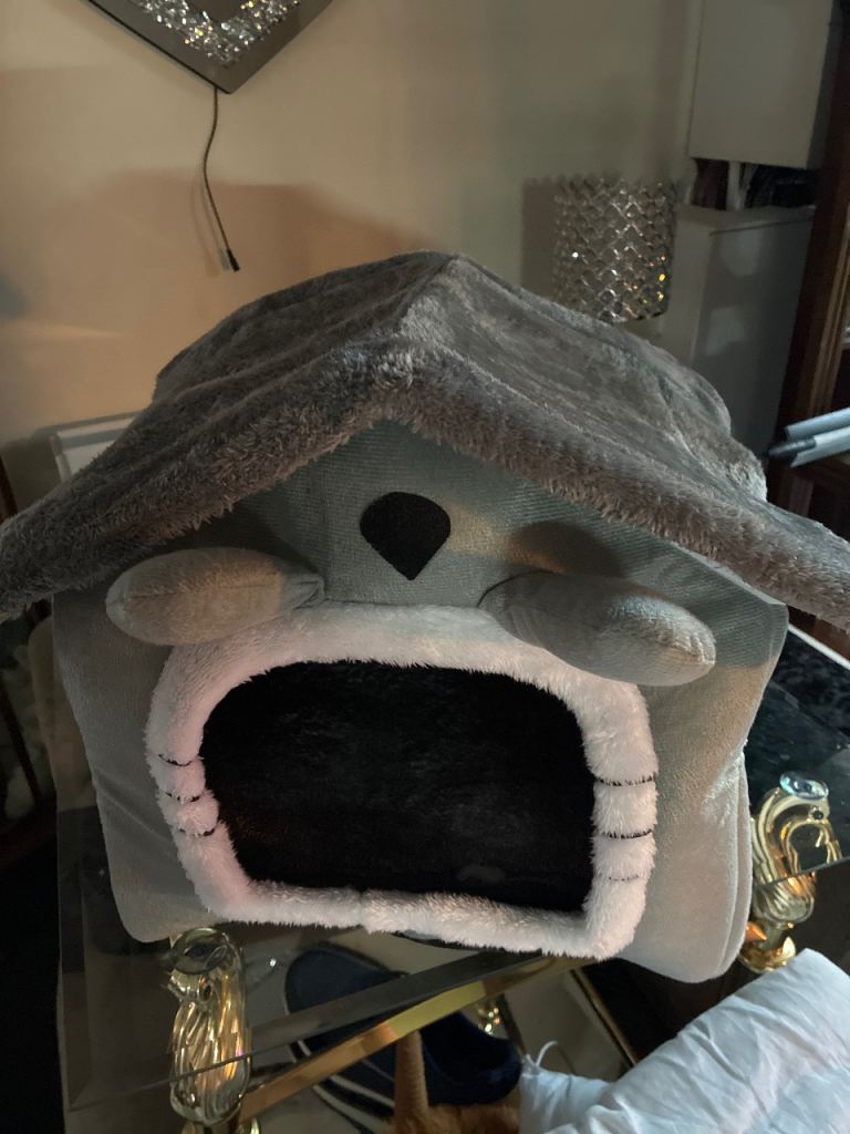New cat bed 