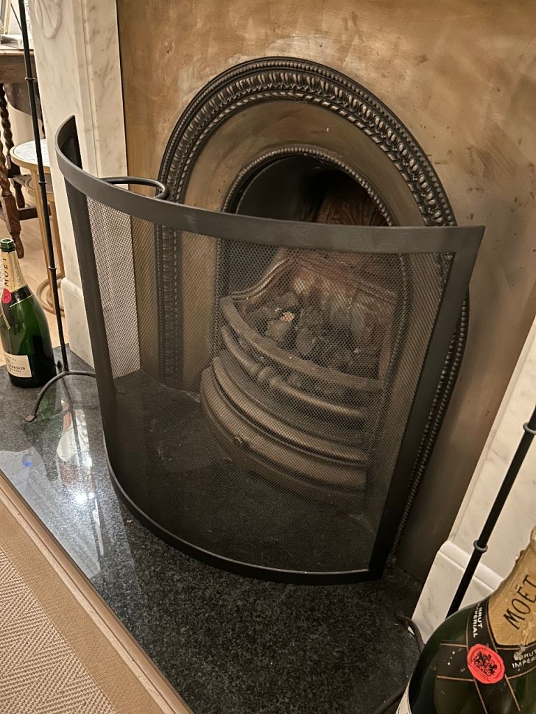 Black metal mesh fire guard 
