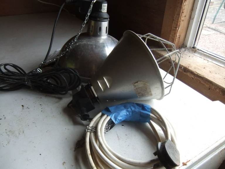 Infra red heat lamps 