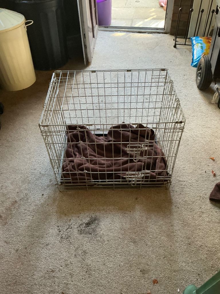 Dog cage 