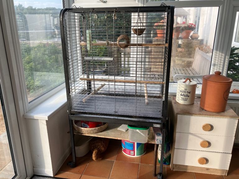 Free parrot cage