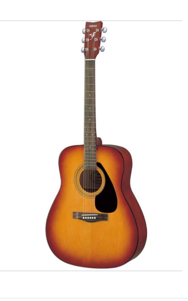 Yamaha F310