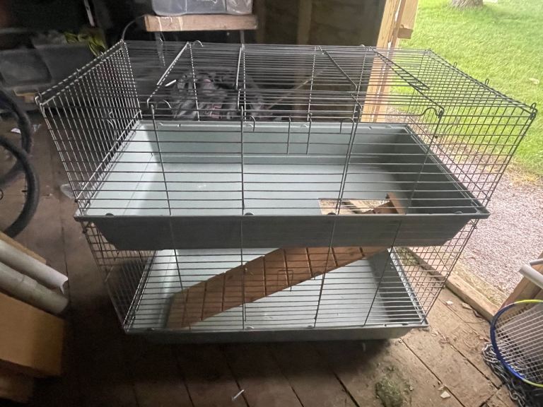 Double storey small animal pet cage
