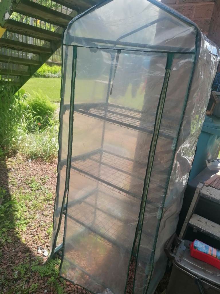 Green house 