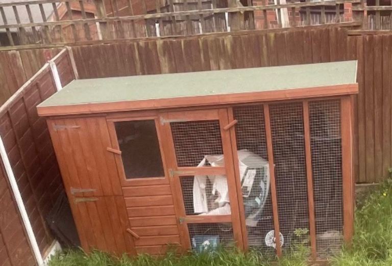 Dog kennel and run 