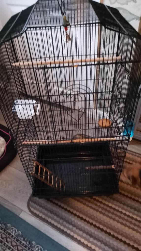 Bird cage