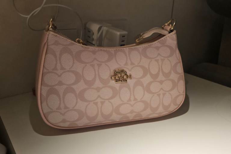 Handbag caoch 