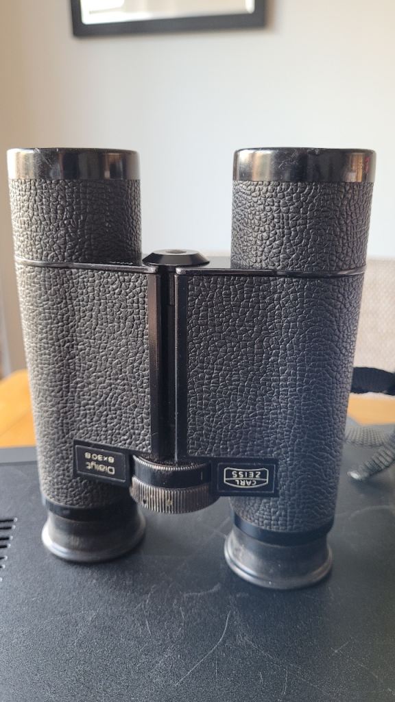 Zeiss Dialyt 8x30B