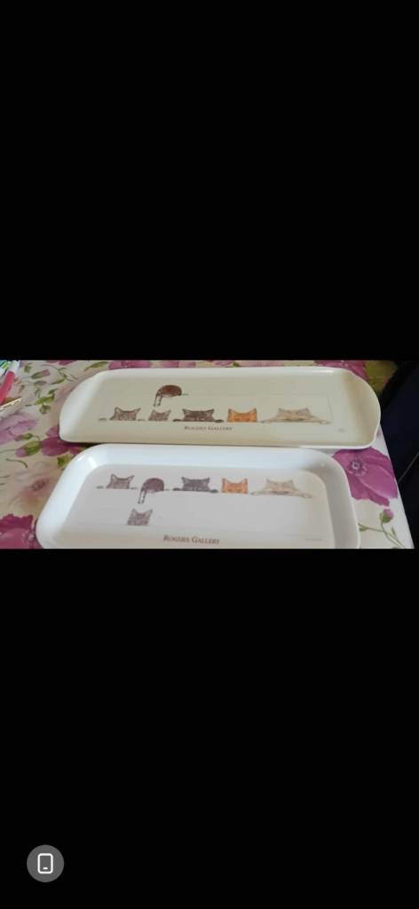 Two cat trays