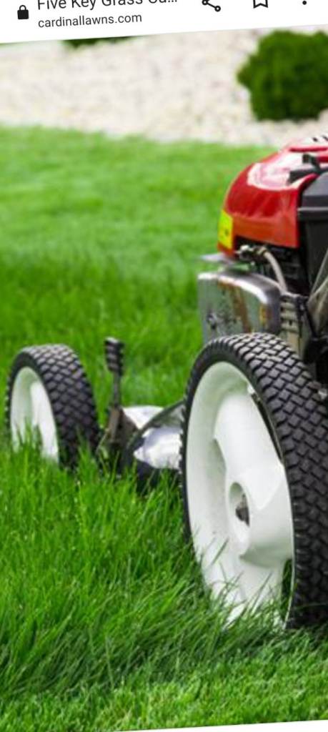 Lawn cutting service/lawnmower repairs/mobile service 