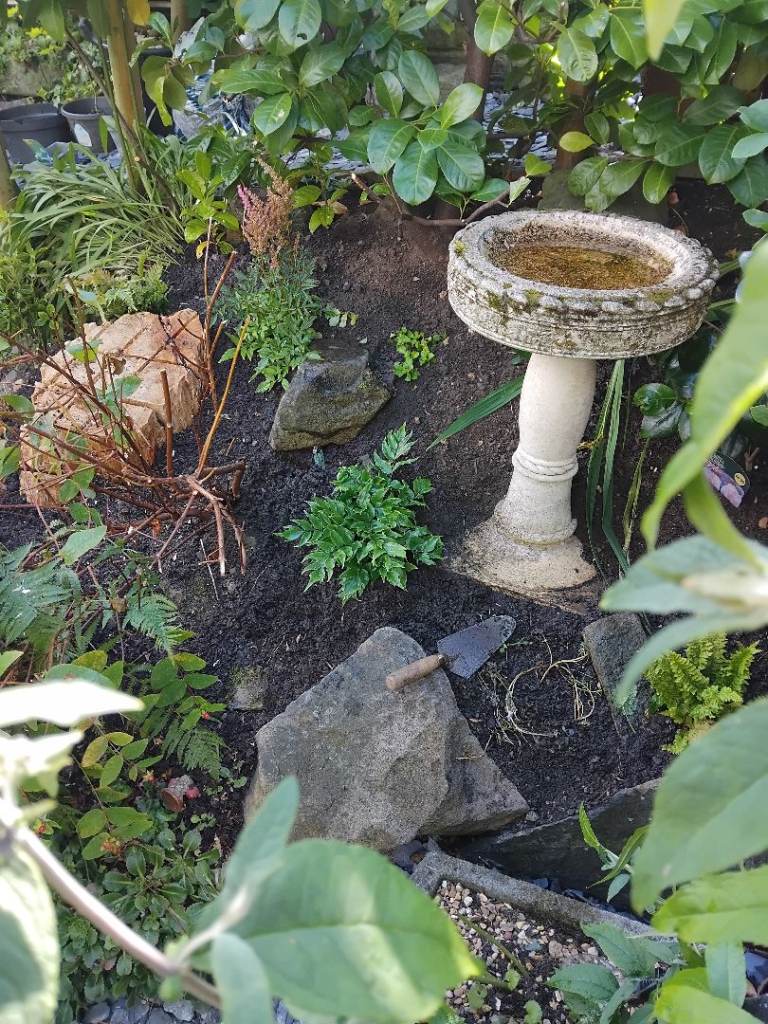 Wanted garden items