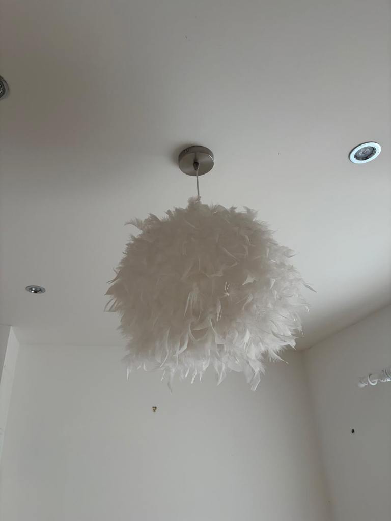 Feather lamp pendant