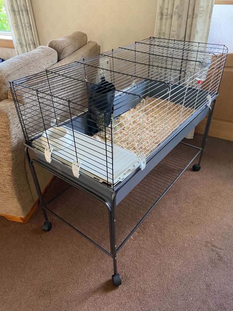 Large Guinea pig cage and stand 