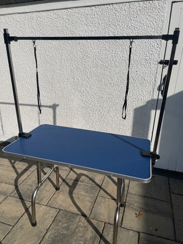 Pawhut Large Dog Grooming Table -Blue used a few times excellent condition