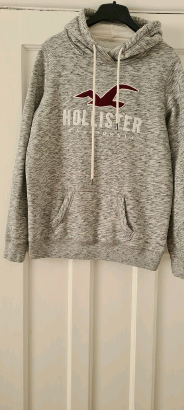 Men's Hollister Hoodie 