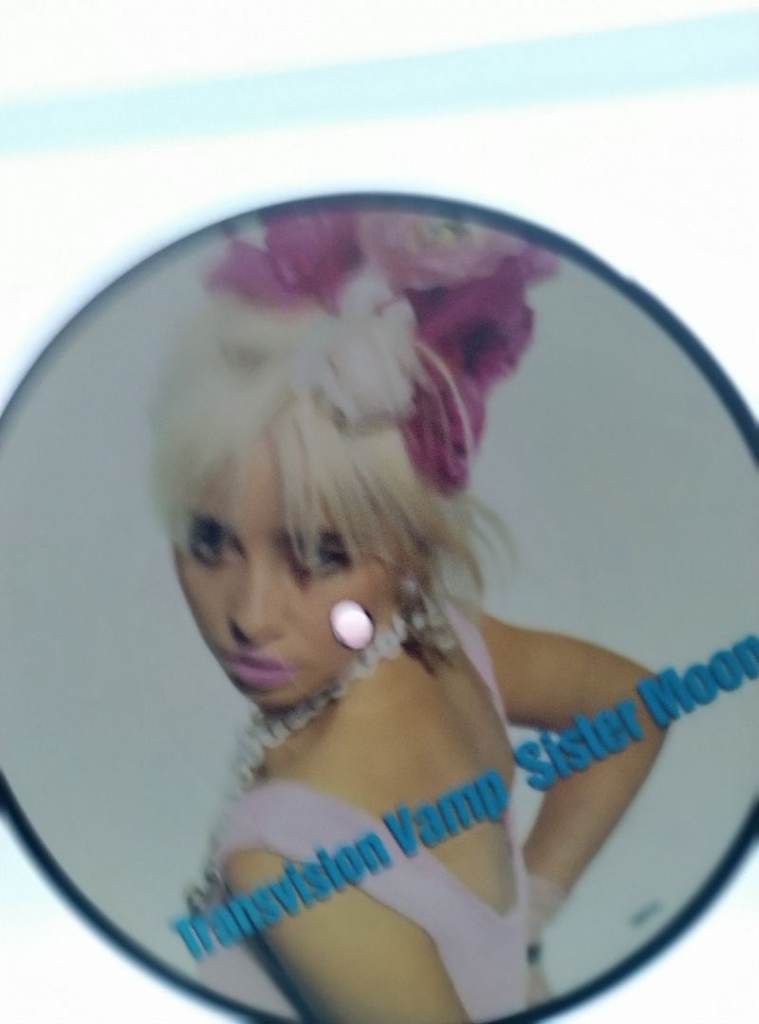 Buy any of my stuff, and will throw these 7" Picture Discs in - Judas Priest & Transvision Vamp