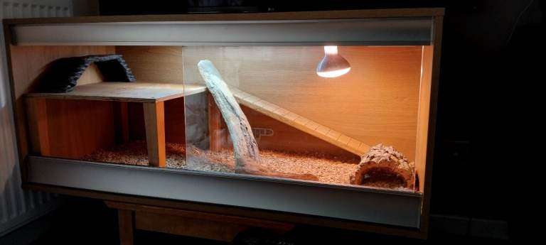 4ft VIVEXOTIC VIVARIUM REPTILE TANK