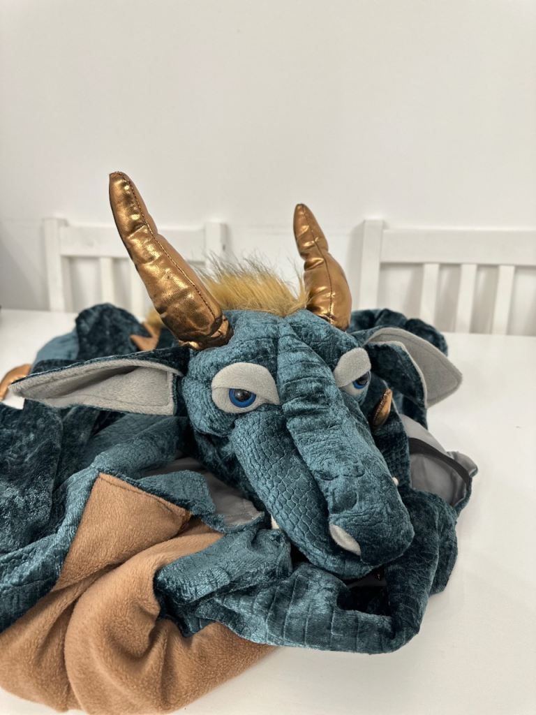 Boys Halloween costume size 3-4 years