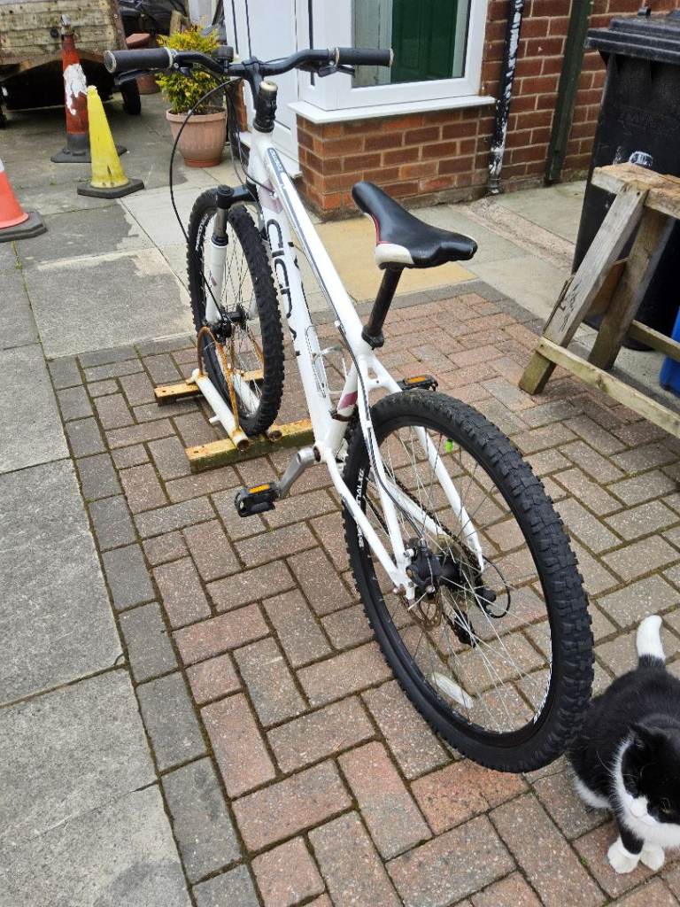 Boys mountain bike