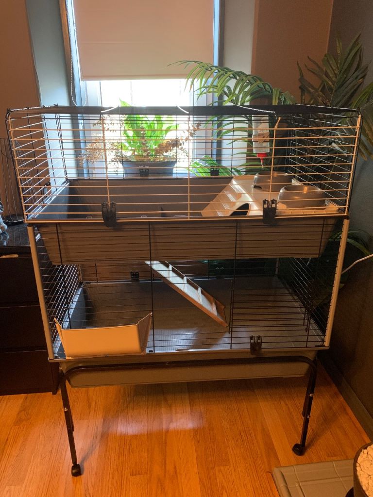 2 Tier Guinea Pig/Rabbit Indoor Cage