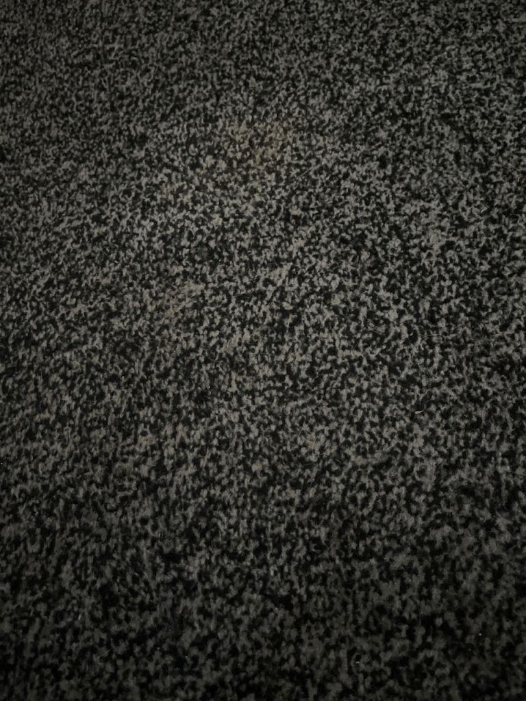 Freshwater fish for sale