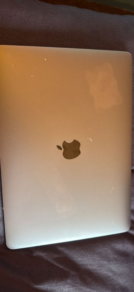 Apple MacBook Air 2020 used 