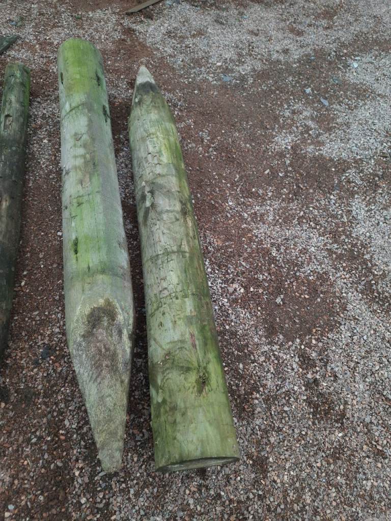 Reclaimed fencing posts ( natural treated ) – individually priced