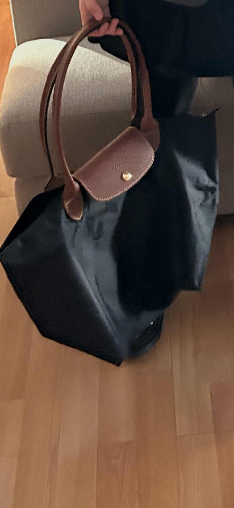 image for Longchamp bag 