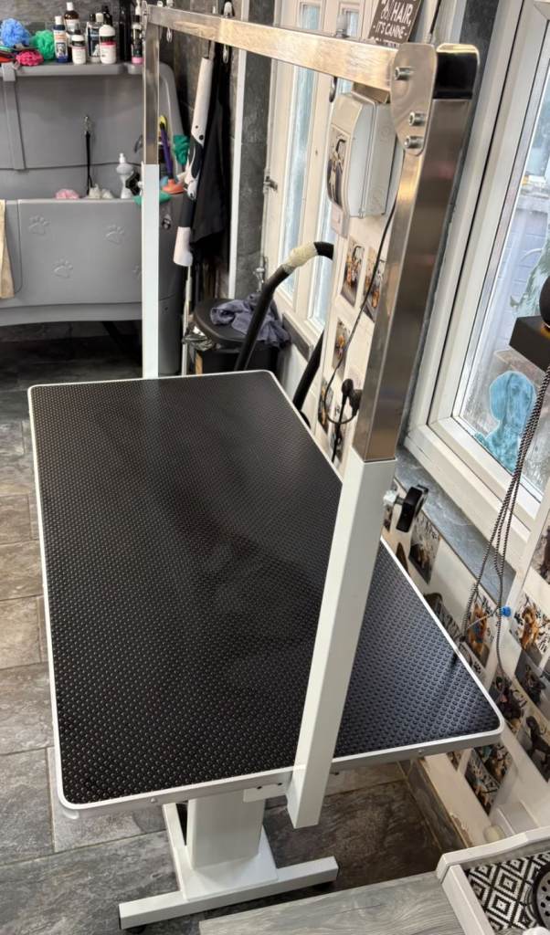 Hydraulic large grooming table