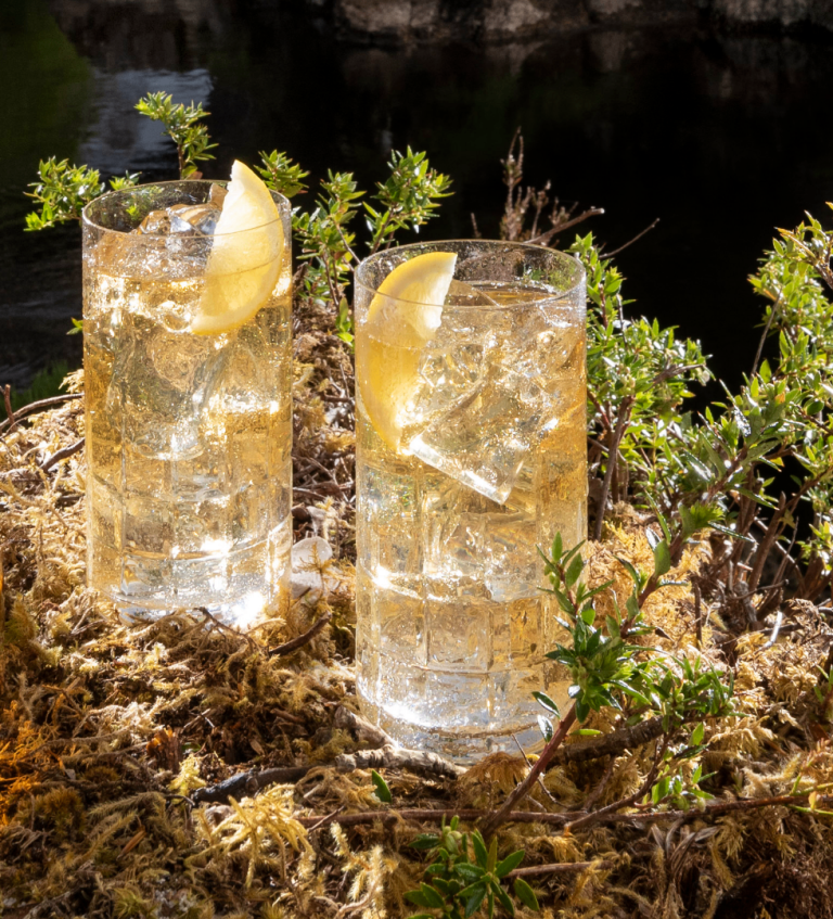 Clear Acrylic Fake Ice Cubes. Various types for prop or display