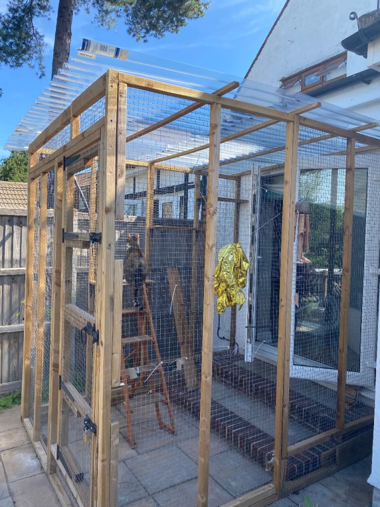 Catio 