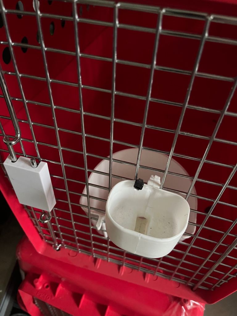 Airline Approved Pet Carrier (Large)