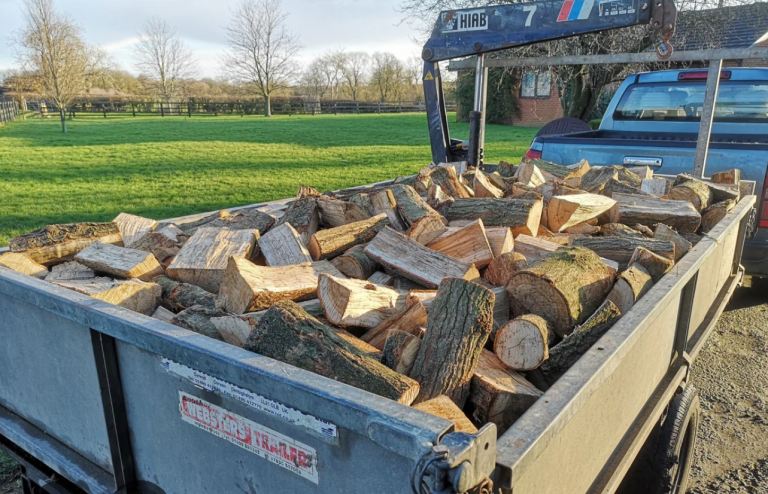 Barn stored logs bone dry ASH mix 🔥🪵🔥