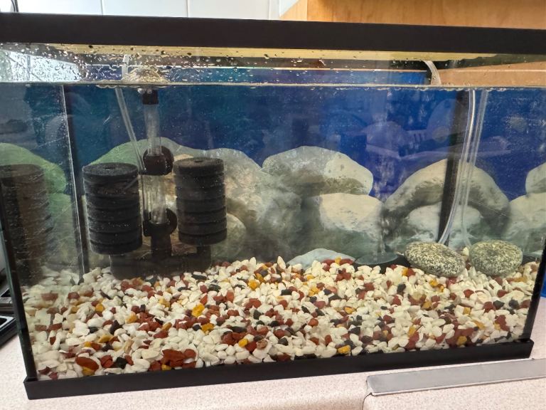 image for Hospital Tank