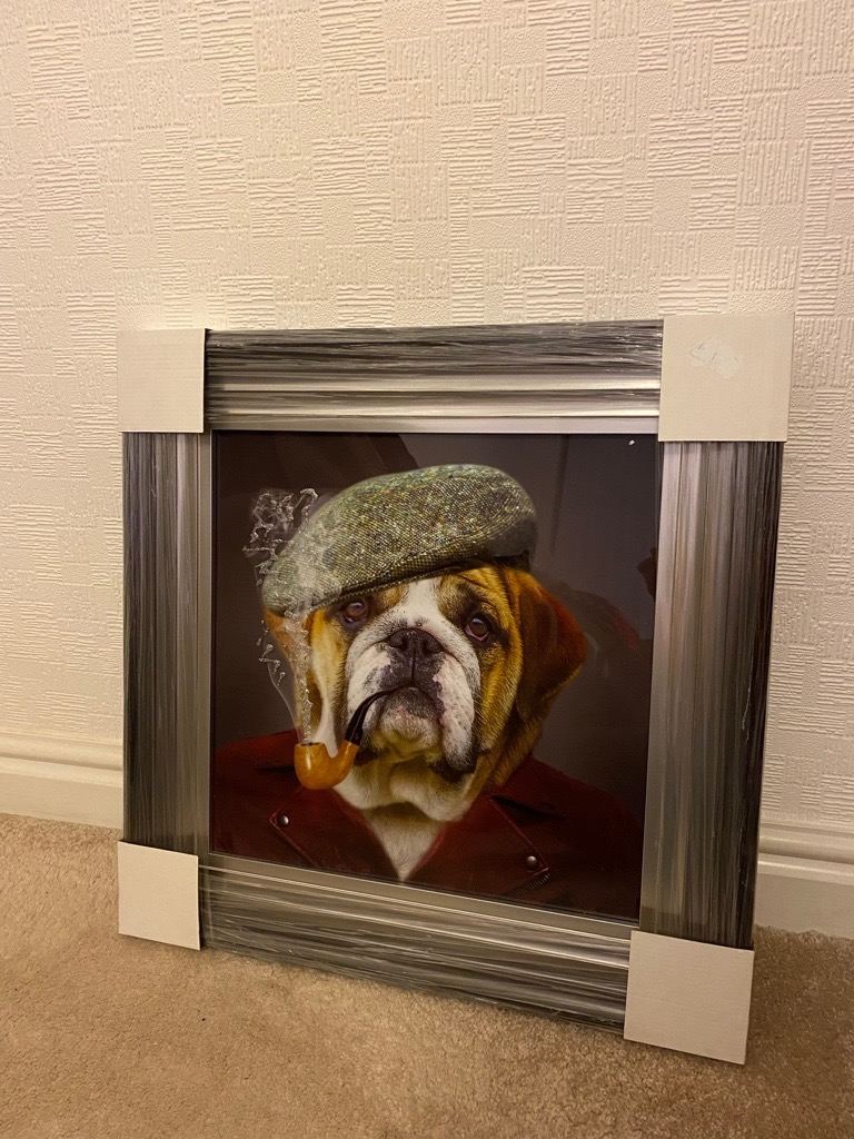 image for Bulldog Picture (Framed)