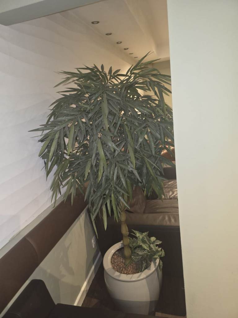 Large Artificial Bamboo Tree with Premium Glossy White Pot