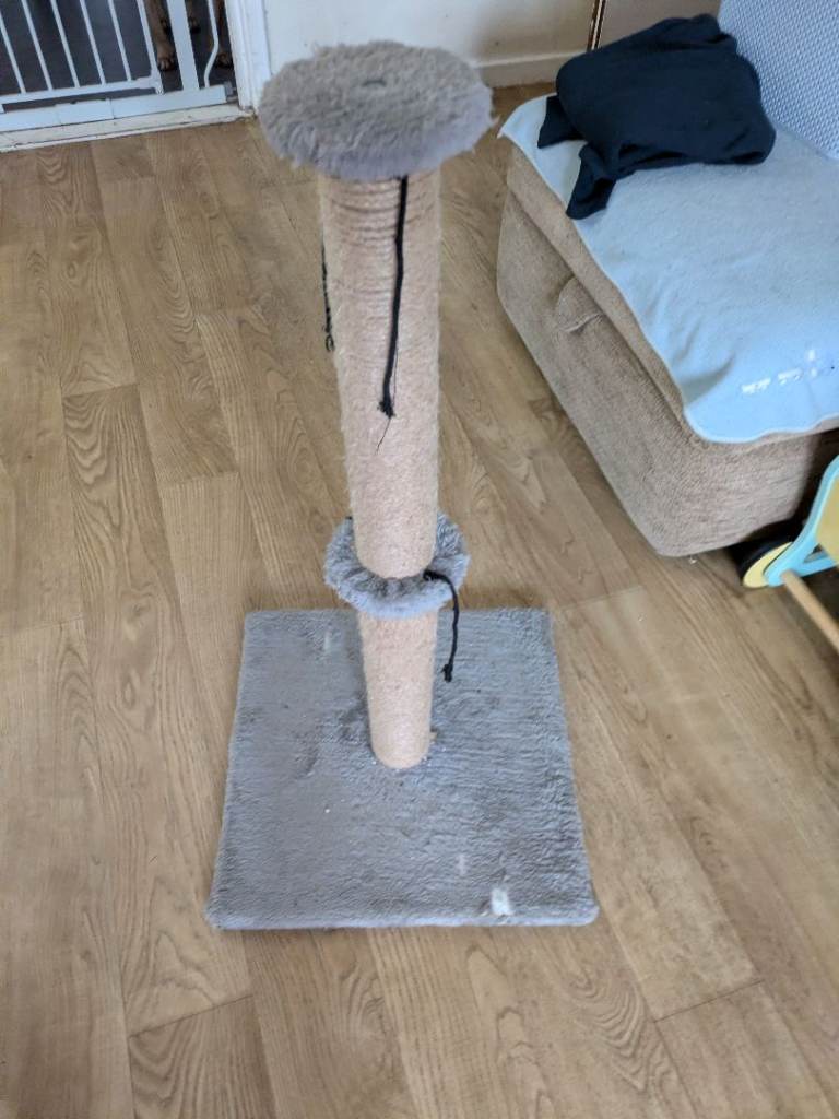 Cat scratch post 