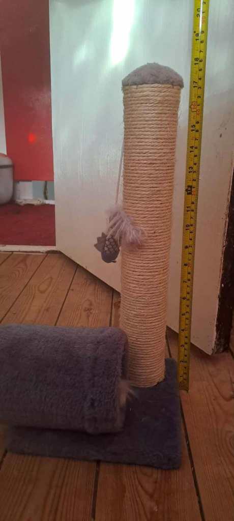 Cat bed hammock and small scratching post