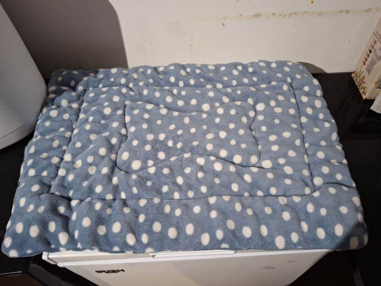 Dog bed/mat free