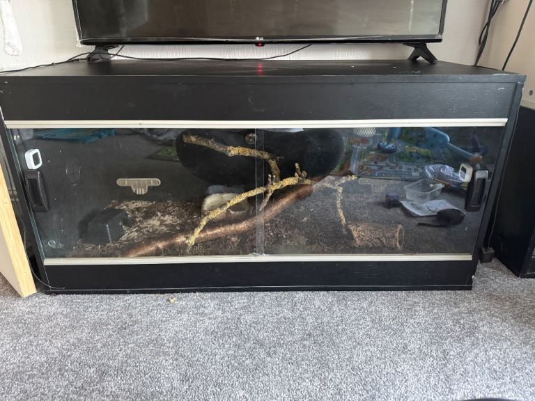black Vivarium 