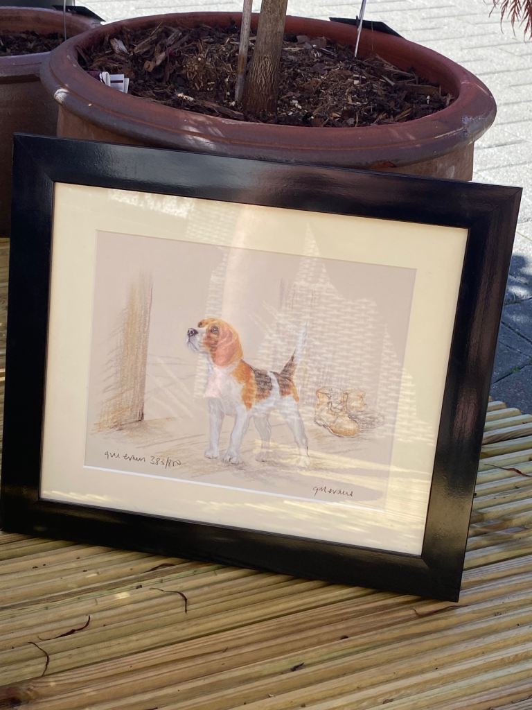 Beagle print Ltd edition 