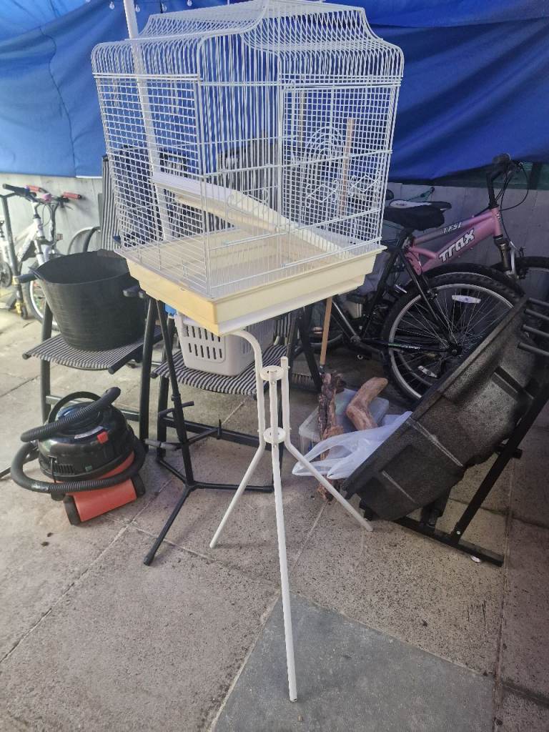 bird cage budgie