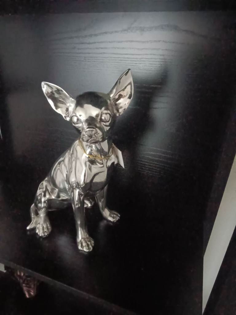 Silver dog 