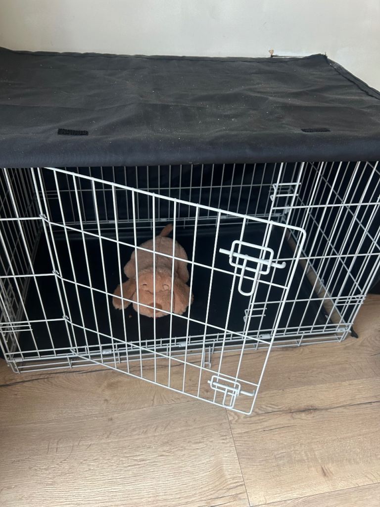 Medium size dog crate 