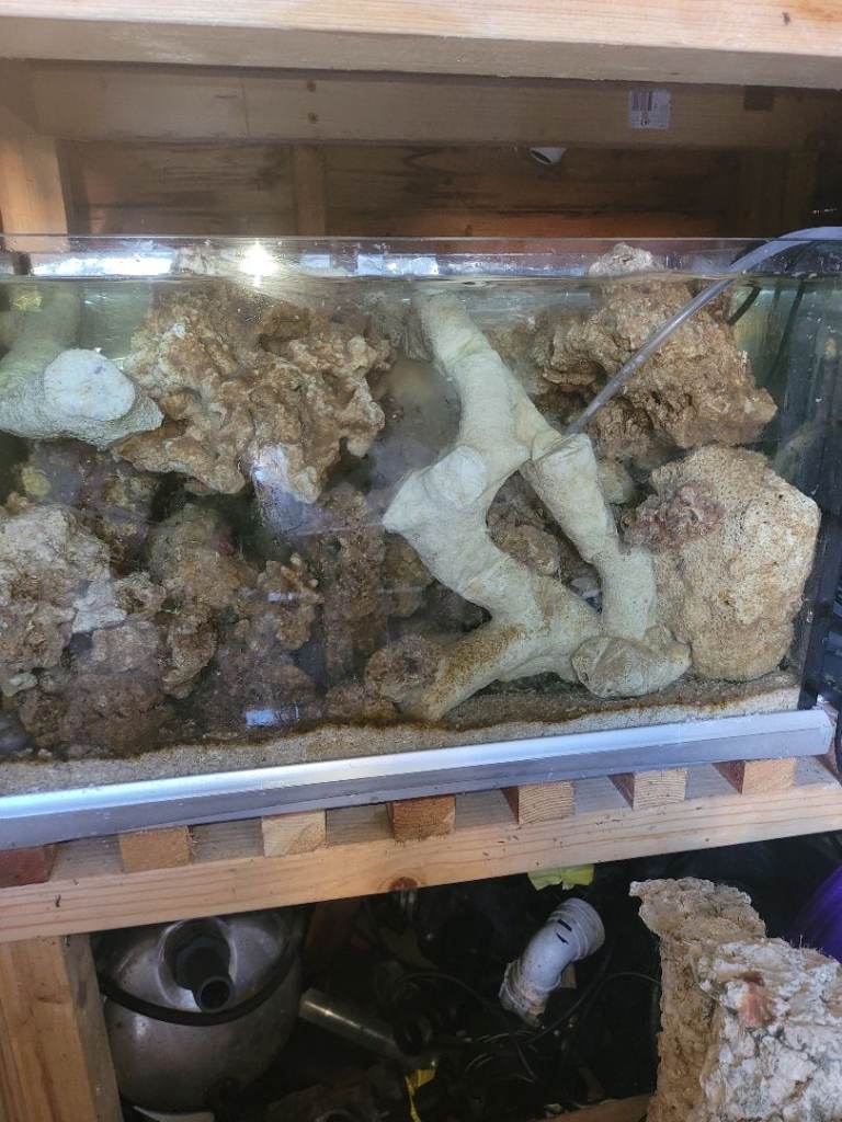 swap marine aquarium rock