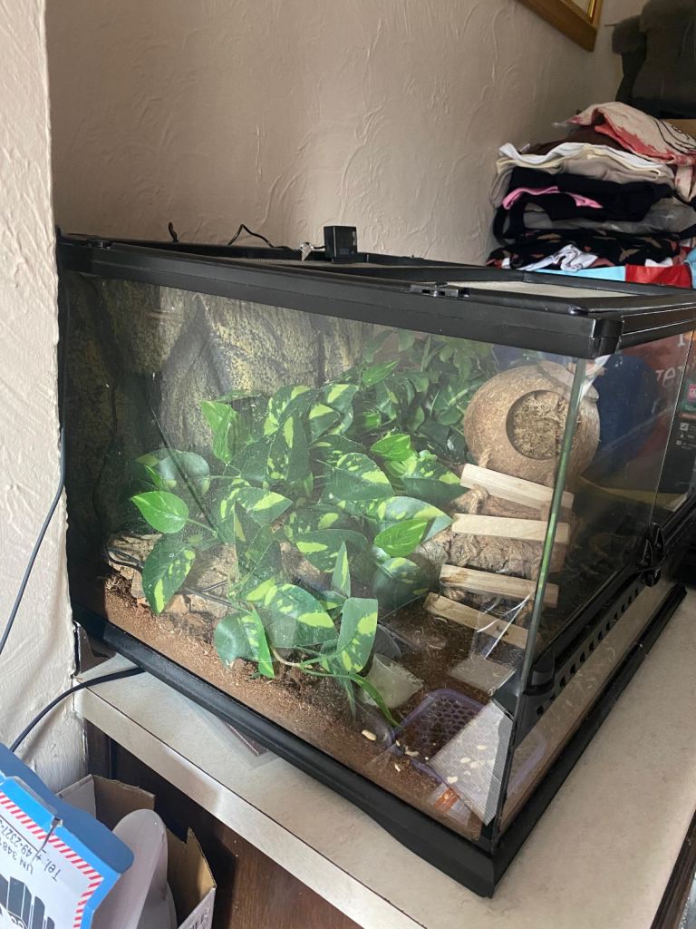 Reptile cage