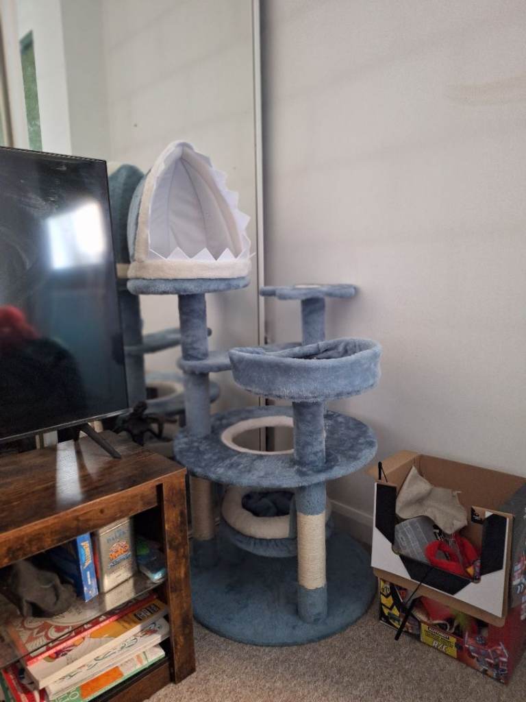Cat tree and bed