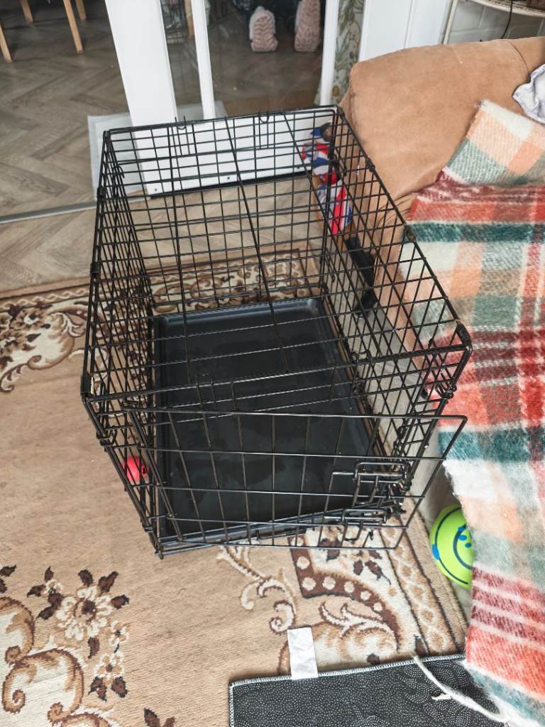 Dog crate 